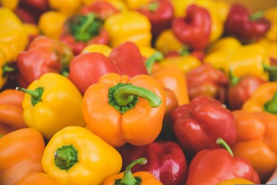 Jammu and Kashmir: Sher-e-Kashmir varsity researchers introduce multi-coloured capsicums which promises to have high medical values