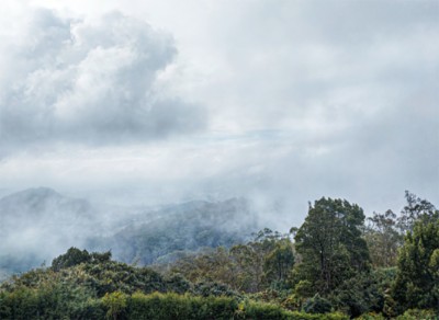 Study finds biodiversity conservation and benefit-sharing have turned into meaningless exercises in India