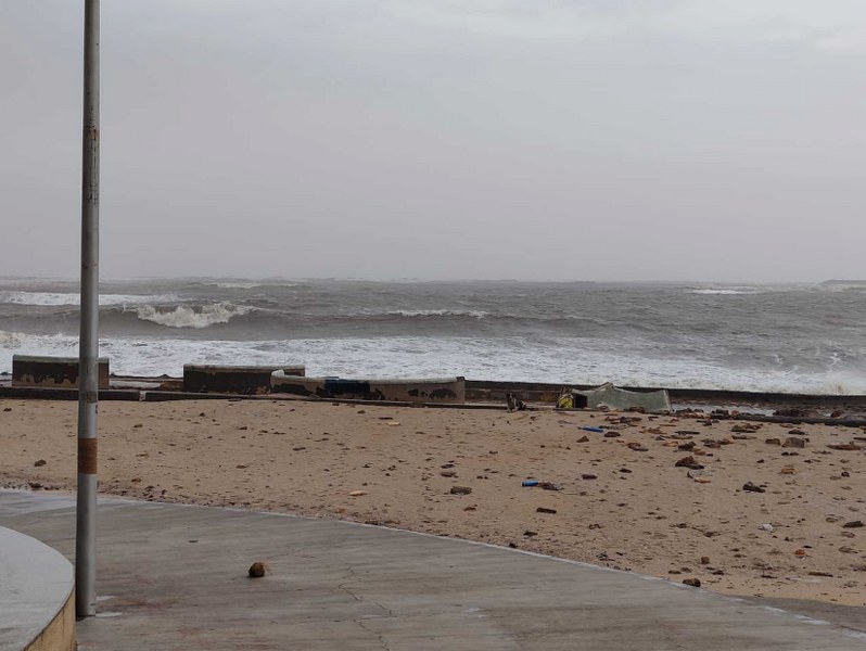 Cyclone Biporjoy landfall process starts: In images stormy sea, uprooted trees in Gujarat's Porbandar