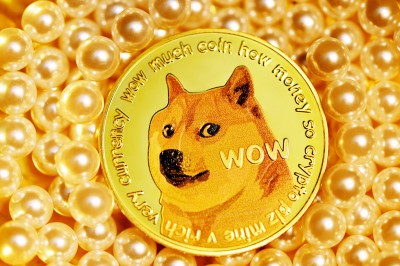 Twitter's blue bird logo replaced with Dogecoin dog