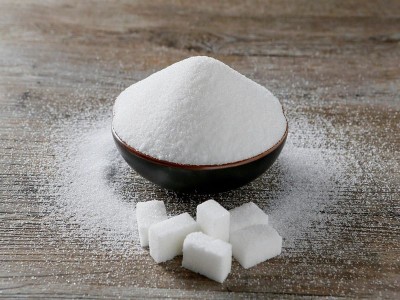 Magadh Sugar & Energy Q1FY24 PAT stands at Rs 16 cr