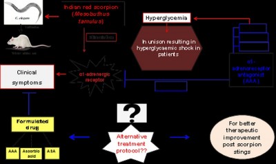 Novel therapeutic formulation developed for improved treatment of Indian red scorpion sting