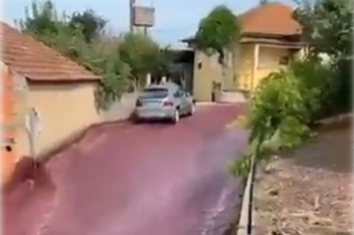 Portugal: River of red wine flows through streets of small town, triggers environmental concerns