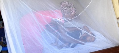 Climate change risks upending global fight against malaria: WHO