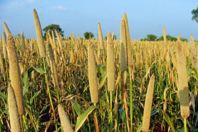 DRDO conference on ‘Millets for Military Ration & Specific Nutritional Requirements’ starts in Mysuru