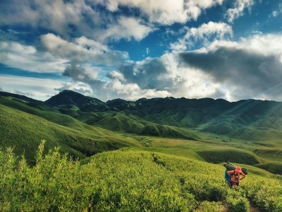 Changlangshu BMC's forest restoration initiative creates green corridor for wildlife in Nagaland