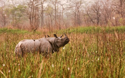 Students sensitised on importance of biodiversity in Orang Nature Camp