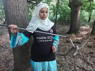 Alia Mir become first woman from Jammu and Kashmir to receive  wildlife conservation award