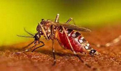 Bangladesh registers highest daily spike of nearly 3,000 dengue cases in past 24 hours, death toll rises to 364