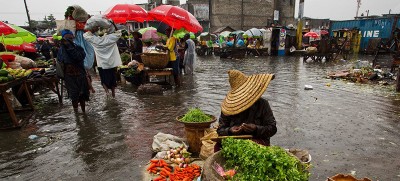 Global agrifood systems are the climate solution, new FAO report highlights