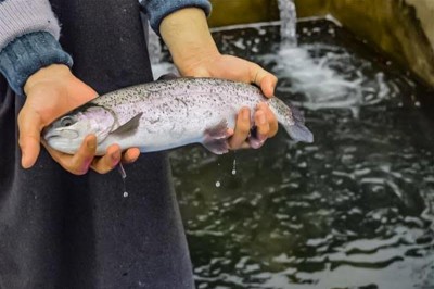 Innovative measures to double annual fish production in Kashmir valley