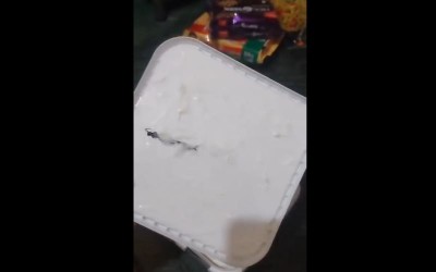 Noida woman finds centipede in Amul ice cream ordered on Blinkit