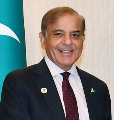 Shehbaz Sharif emphasizes on political unity to ensure economic stability of Pakistan