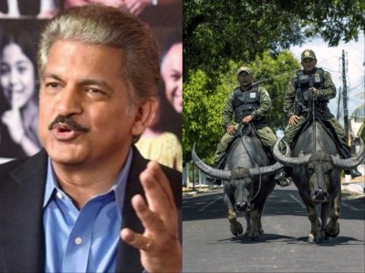 'The pace of global commercial activity right now': Anand Mahindra takes dig at Microsoft's global outage