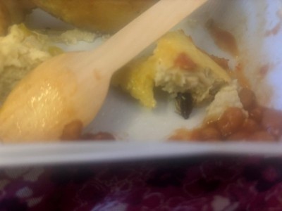 Air India passenger finds cockroach in omelette served to her in flight travelling from New Delhi to New York