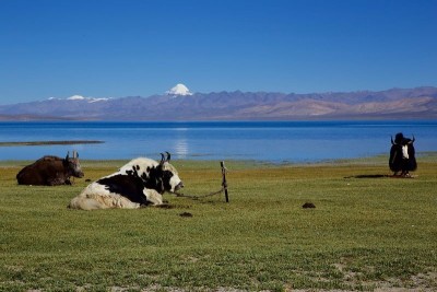 India, China decide to resume Kailash Mansarovar Yatra in summer