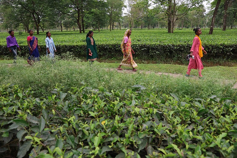 In Images: Voters queue up as assembly polls underway in North Bengal