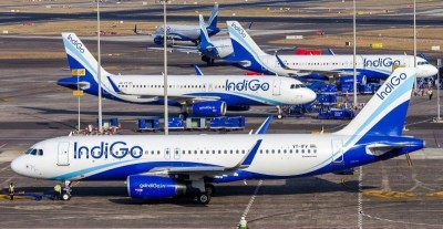 IndiGo shares soar 11%: What’s behind the rally?