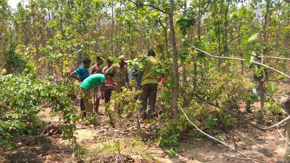 Royal bengal tiger found dead in West Bengal's Lalgarh