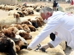 Vaccination in countryside of Damascus