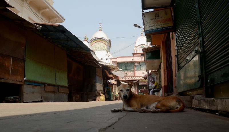 Glimpses of the deserted Kalighat Kali temple premises and other parts of Kolkata