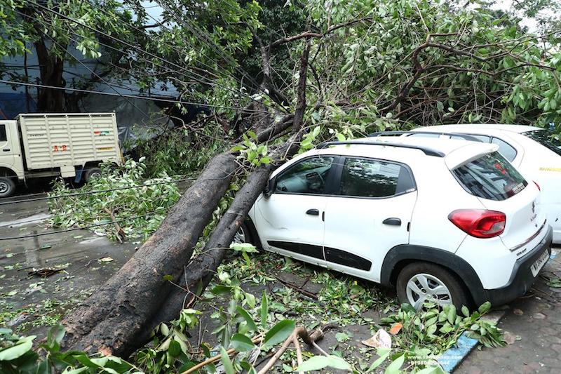 Cyclone Amphan leaves trail of devastation in West Bengal capital Kolkata