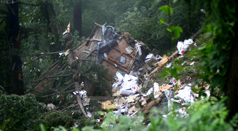 Truck rolls down at gorge mear Shimla