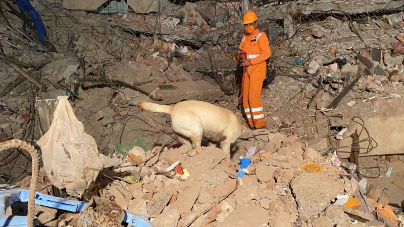 Raigad Building Collapse: A NDRF personnel with sniffer dog searching for survivors