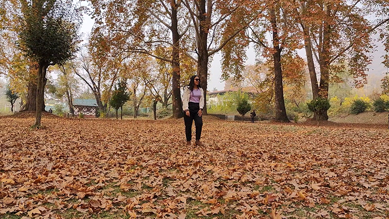 Autumn in Kashmir