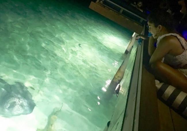 Birthday girl Priyanka makes friendship with shark,stingray