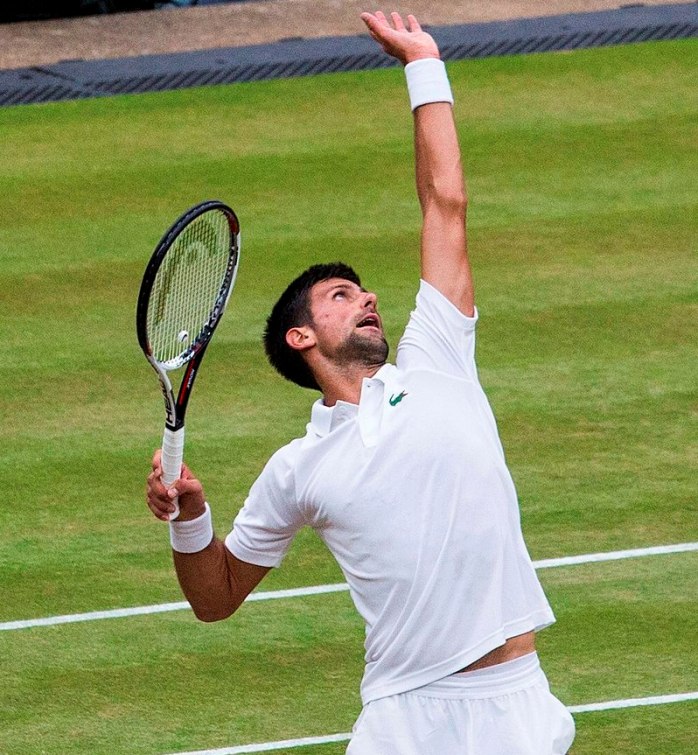 Djokovic beats Roger Federer to reach Australian Open final