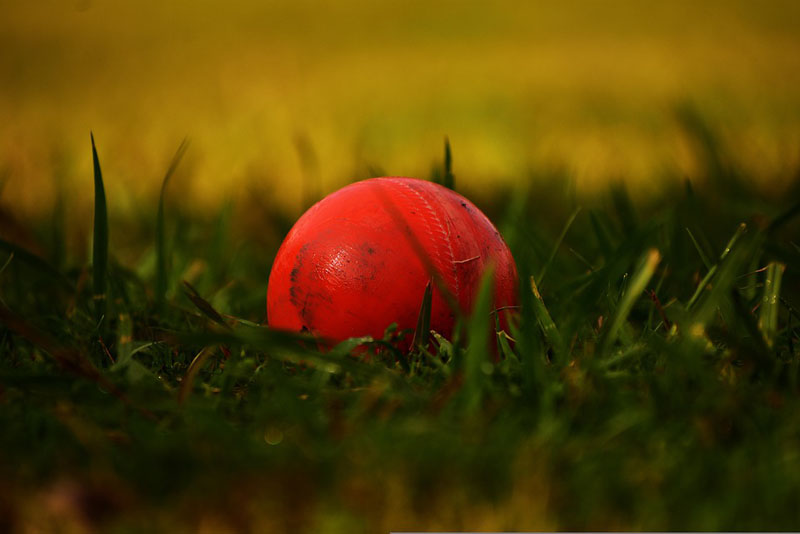 Jammu and Kashmir: Sports lovers cherish return of night cricket in Valley 