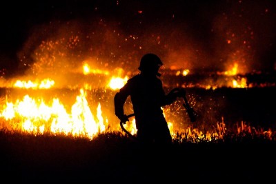 Manitoba’s Wildfire and Conservation Office Services' members honoured for exemplary service