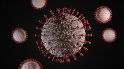 NeoCov an old virus, never infects human being: Expert