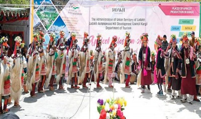 Jammu and Kashmir: Apricot Blossom Festival begins in Kargil