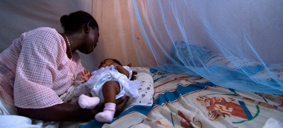 Countries held the line against malaria cases and deaths in 2021: WHO report