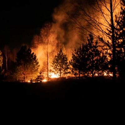 Spain: Wildfires destroy 150k acres of forest, kill 2 people