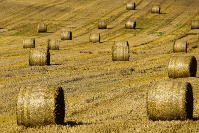 China's autumn harvest under 'threat' amid severe heatwave