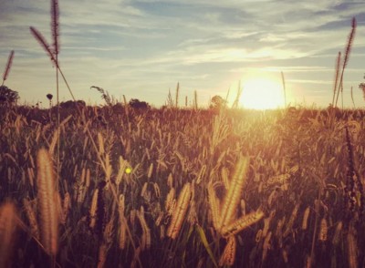 UK records hottest day