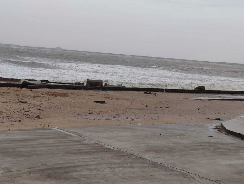 Cyclone Biporjoy landfall process starts: In images stormy sea, uprooted trees in Gujarat's Porbandar