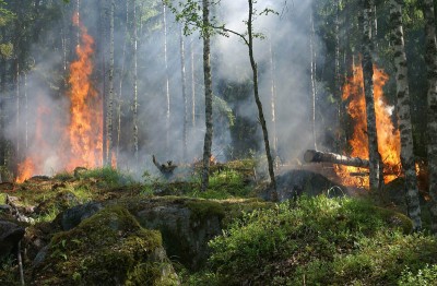 Canada to deploy country's armed forces to help extinguish Quebec fires