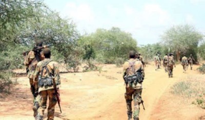 Somali army kills over 70 militants in southern region