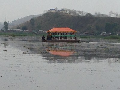 Migratory birds from China, Siberia flock Loktak Lake in Manipur