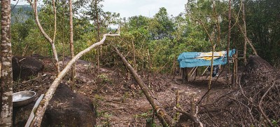 Viet Nam: UN rights office condemns crackdown on climate activists