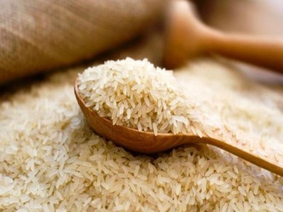 India’s rice sowing area crosses 411 lakh hectares