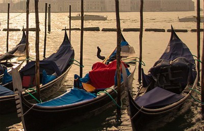 Jammu and Kashmir: Tourist guide arrested selling 'fake' tickets of Gondola