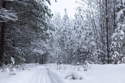 Canada: Toronto sees coldest temperatures in years with polar vortex descending on Ontario