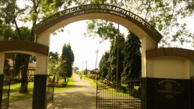 Assam Rice Research Institute wins 'Best Centre' award for All India Coordinated Rice Research Project 2022-23