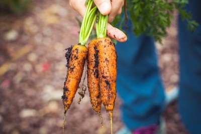 Female agripreneur in J&K sets example with innovative organic farming techniques