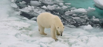 Polar scientists call for more research and observation into rapid sea ice reduction